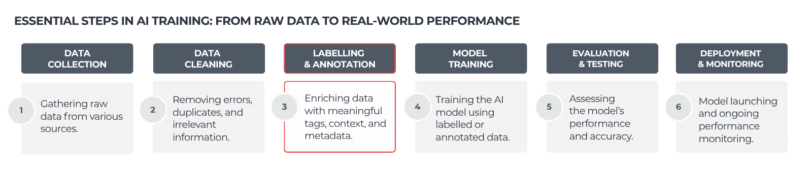 Illustration of the essential steps in AI training, where data labelling and annotation play an important role.