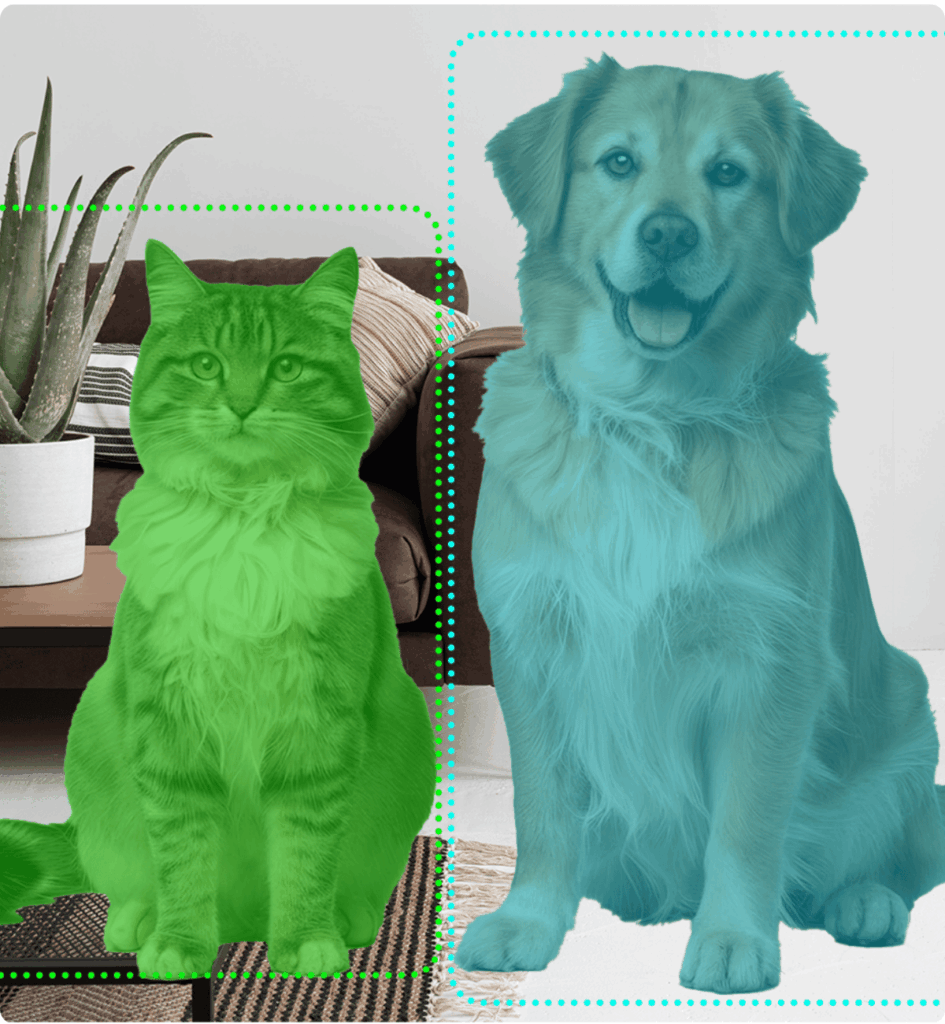 Illustration how data labelling process looks like.
